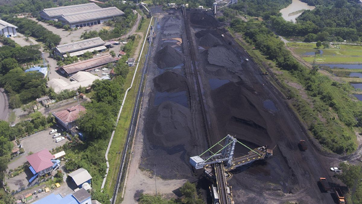 Indonesia Berpotensi Besar dalam Ekspor Karbon