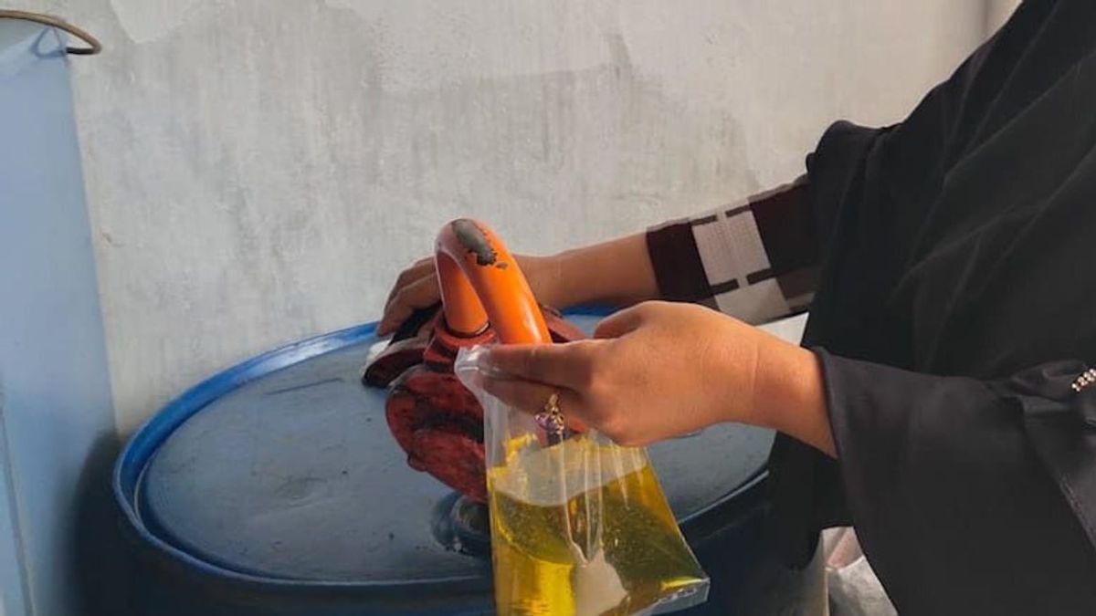 Minyak Goreng Langka, Ini Solusi Alternatif Gubernur Sulawesi Tenggara Ali Mazi: Buah Kelapa