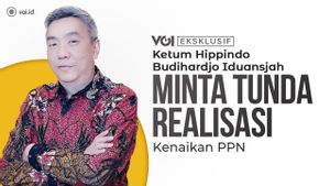 Video: Exclusive Chairman Of Hippindo Budihardjo Iduansjah Says Indonesian Shopping Tourism Still Loses