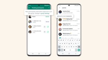 New! Admin Now Can Save People Who Will Enter WhatsApp Group