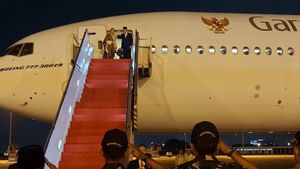 ニュージーランドに向けて9時間、マールフ副大統領はハラル外交使節団を継続