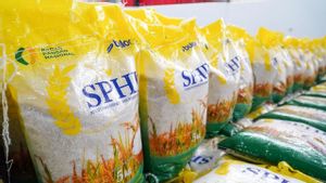Harga Beras Mulai Turun, Bos Bulog: Intervensi yang Kita Lakukan Mulai Efektif