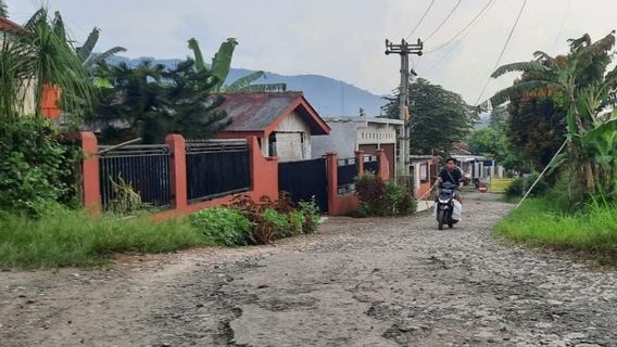 Pemkab Bogor Janji Segera Perbaiki Jalan Letnan Sukarna Ciampea yang Rusak Parah