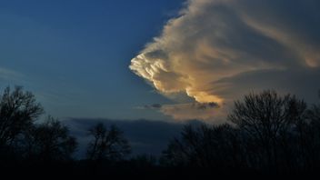 Comment l'influence du climat sur la diversité culturelle et sociale en Indonésie? C'est l'aspect influencé par le climat
