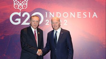 暗示在叙利亚和土耳其的地面行动：埃尔多安总统说他没有与美国和俄罗斯交谈，在巴厘岛会见了拜登