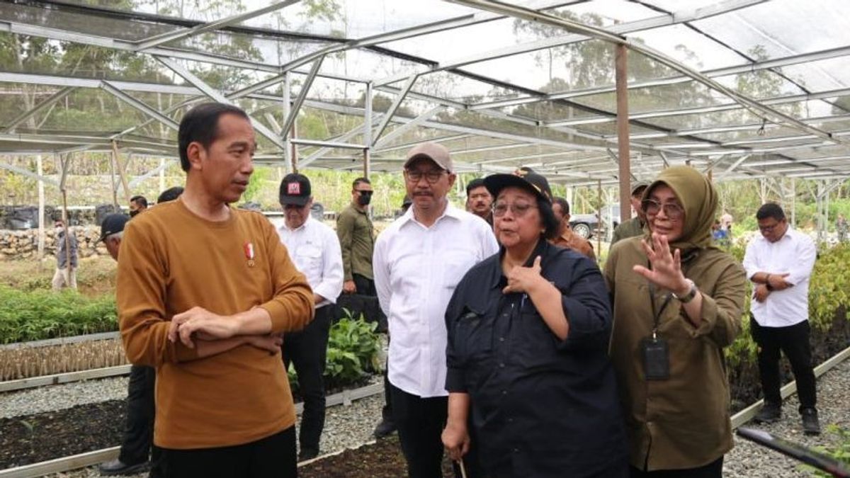    Jokowi: Pusat Persemaian di Penajam Dukung Konsep <i>Green City</i> IKN Nusantara