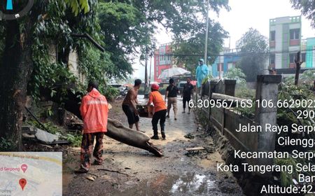 Puluhan Rumah di Tangsel Kebanjiran, 4 Mobil Tertimpa Pohon Tumbang Akibat Hujan Deras Disertai Angin Kencang