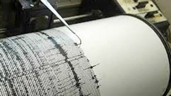 BMKG: Gempa Bumi Jayapura Akibat Aktivitas Subduksi