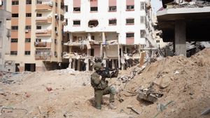 Israel Perluas Operasi Darat di Gaza, Jumlah Korban Tewas Warga Palestina Tembus 15.500 Jiwa