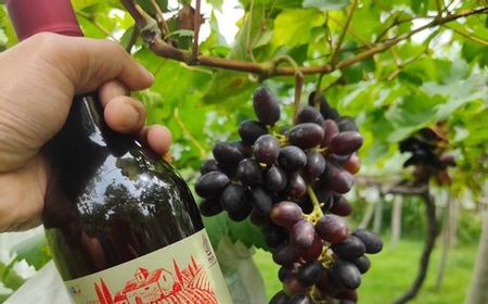 Produsen Wine Nabidz Dipolisikan Karena Klaim Halal