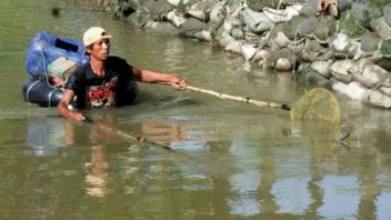 Bantul Regency Government Evaluates Sanction For Residents Catching Fish Using Electric Shocks