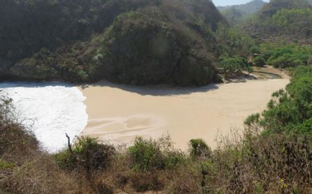 Guru Besar UGM Prof Samekto Meninggal Terseret Ombak di Pantai Gunungkidul