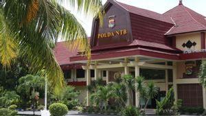  Polda NTB Minta Bantuan Interpol Endus Keberadaan WNA China Terlibat Tambang Ilegal Sekotong