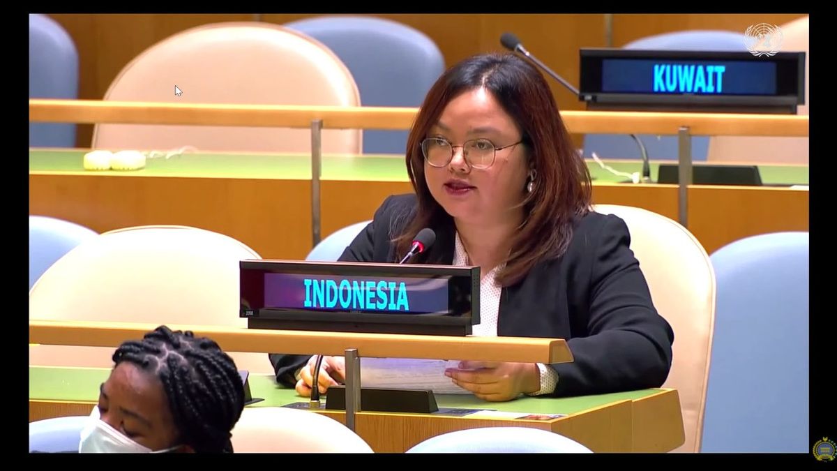 ينفي مزاعم انتهاكات حقوق الإنسان بابوا، إندونيسيا: عندما يقتل المعلمون والعاملون الصحيون، فانواتو تغلق عينيها