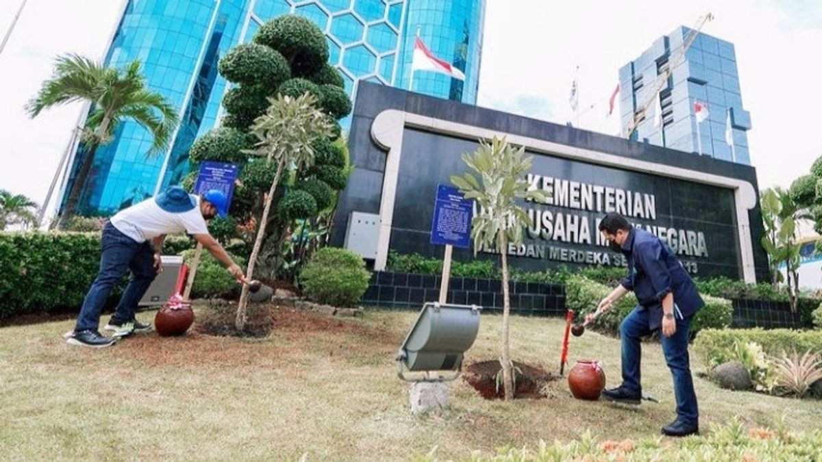 Commemorating National Planting Day, Erick Thohir Plants Trees At The Ministry Of SOEs Halaman