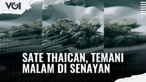 VIDEO: Sate Taichan, Temani Malam di Senayan