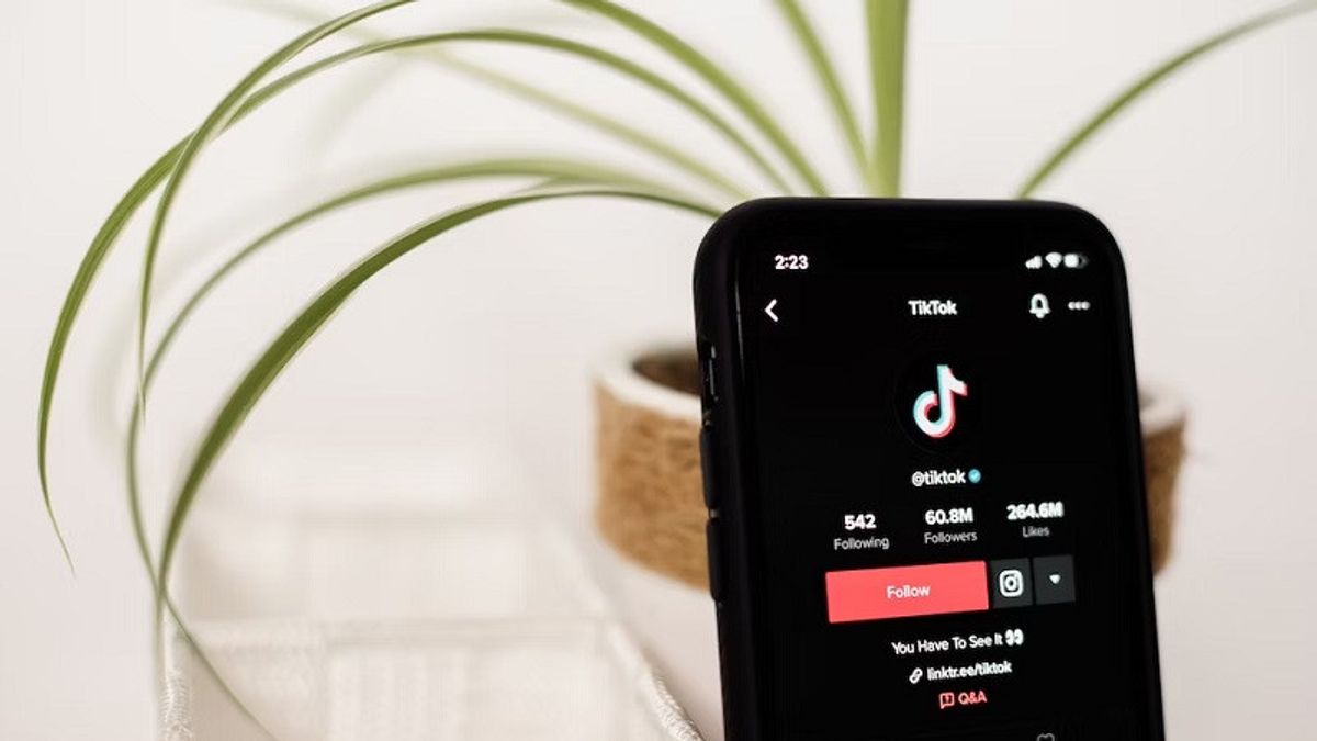 The Ministry Of Trade Explains Reasons For Giving TikTok Shop Permits To Resell