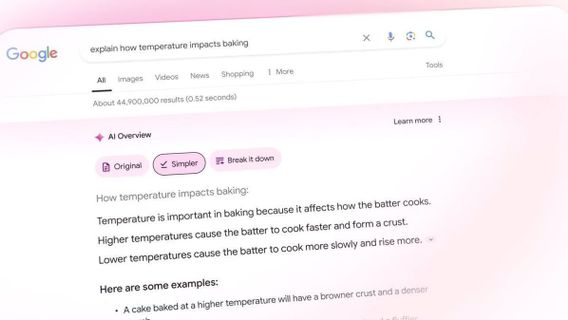 Google Perluas AI Overview ke Lebih dari 100 Negara 