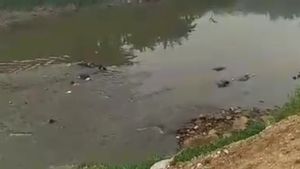 Mothers Of The Early Cat Community Members Seeing 5 Bodies In The Bekasi River Mining Nearby