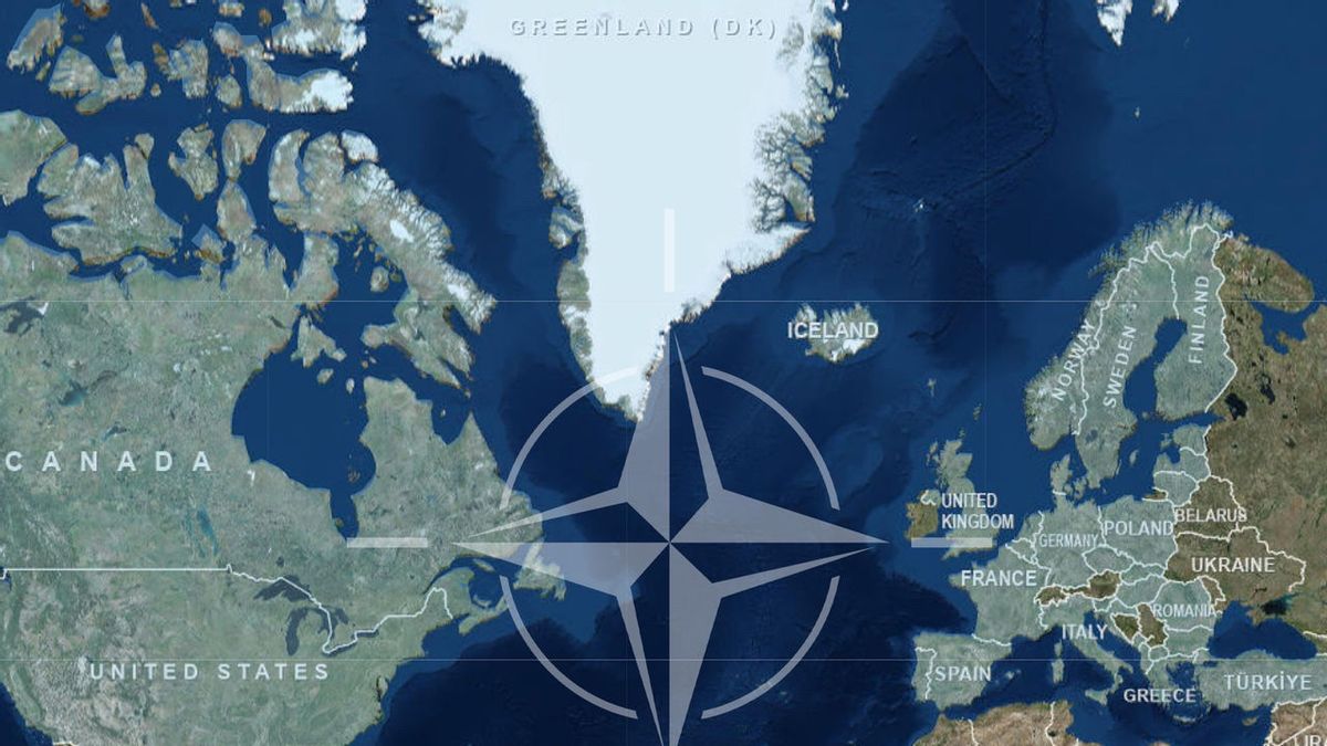 After the Pentagon, OpenAI Targets NATO Network, Here's the Fact