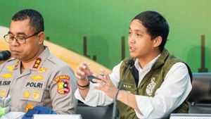 Menhut Tegaskan Hukuman Berat Pemburu Gajah Sumatera