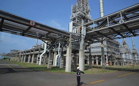 Industri Petrokimia Layak Diselamatkan dari Ancaman Produk Impor