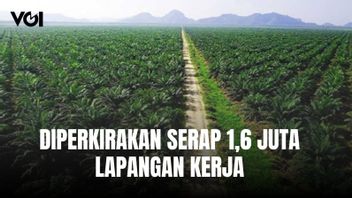 Hilirisasi Komoditas Pertanian Akan Serap 1,6 Juta Lapangan Kerja, Mentan Amran: Menekan Kemiskinan