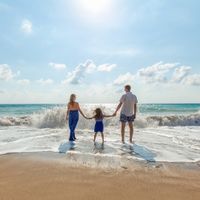 Reasons For The Formation And Article Of The Controversy On The Draft Family Resilience