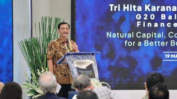 Luhut a déclaré que NBS Indonesia devrait atteindre 1,5 GT d’équivalent de CO2 par an