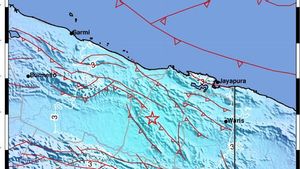 Gempa Mag 5,3 Guncang Papua Pukul 09.25 WIB