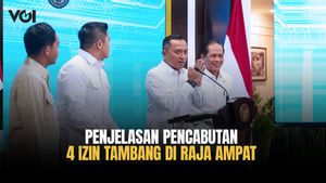 Pencabutan 4 Izin Tambang di Raja Ampat Sejalan dengan Penertiban Kawasan Hutan
