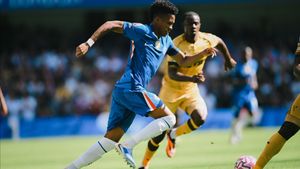 Gol Crystal Palace Dianulir, Chelsea Lolos dari Kekalahan