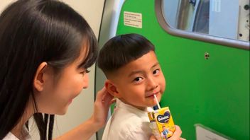 Pengalaman Anak Minum Susu di Pesawat saat Perjalanan Pulang Liburan