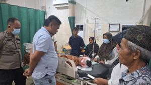    Beruang Serang Petani di Muaro Jambi
