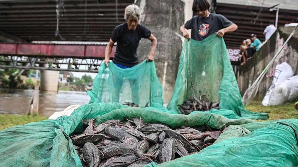Satpol PP Amankan 5 Penjual Daging Ikan Sapu-sapu di Jakpus Buat Pedagang Siomay