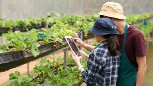 Prospek Kerja Agroteknologi: Peluang Karir Menjanjikan di Era Modern