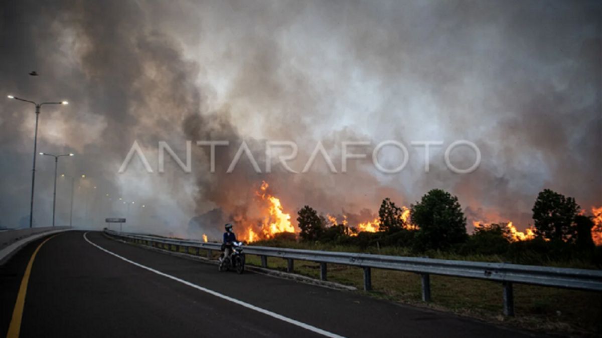 南スマトラのパリンドラ有料道路の端にある森林火災:煙が飛行を妨げない