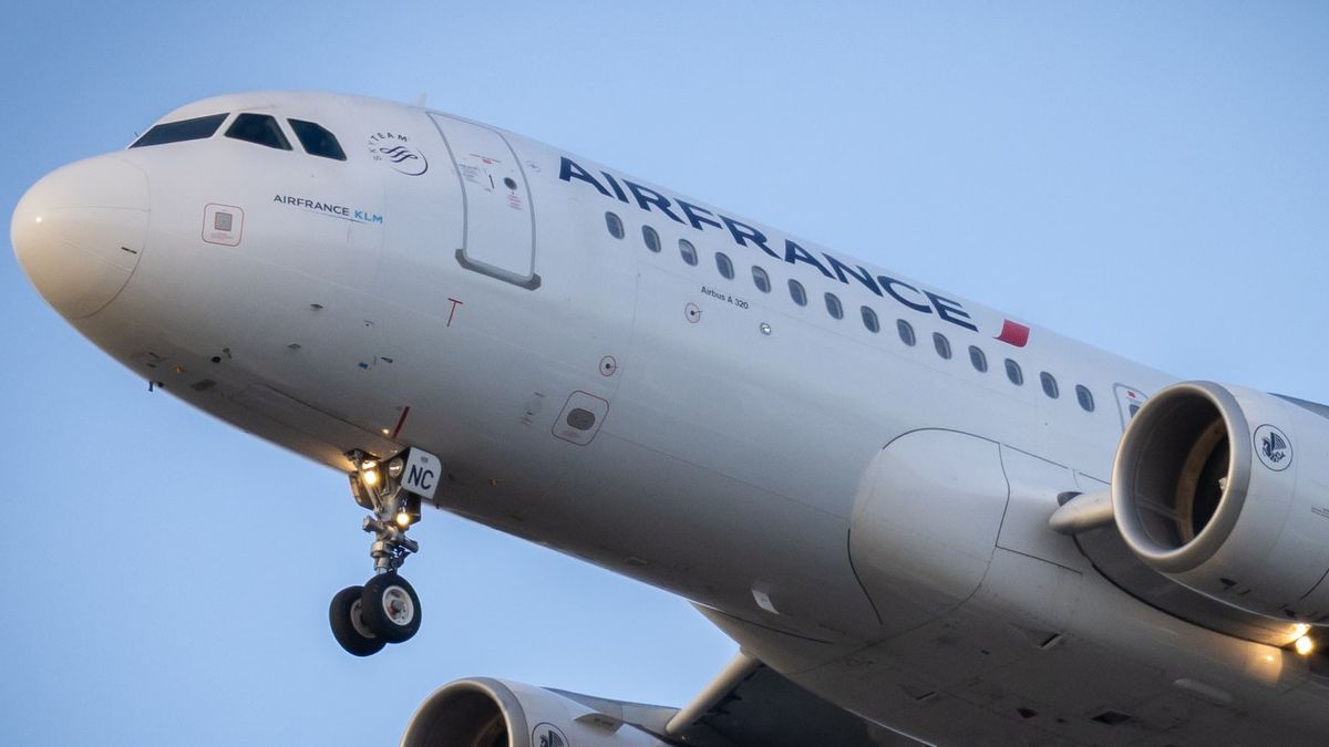 Penerbangan Jenewa-Paris, Pilot dan Co-pilot Air France Malah Berkelahi di Kokpit