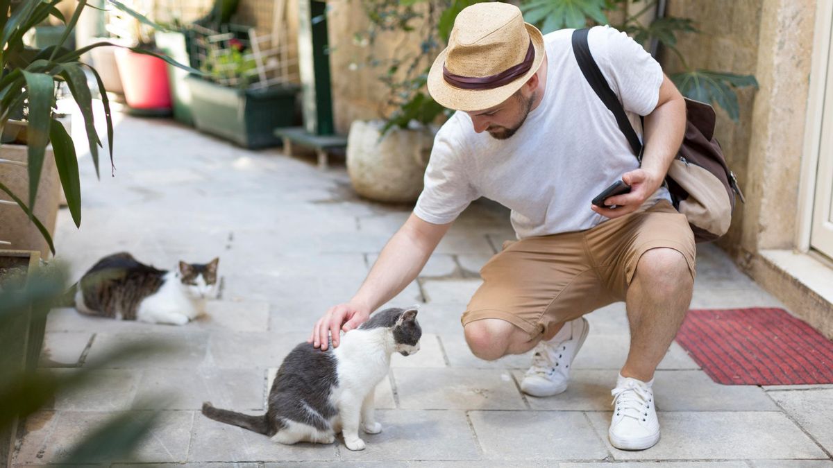 According To Science, This Is The Reason Why Many People Treat Cats