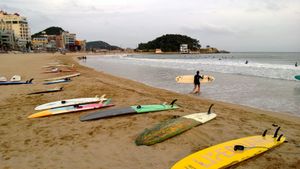 South Korean Authority Bans Surfing When Drunk Starting This Year, Violators Threatened With Fines Of IDR 11 Million