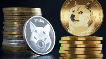 Anjlok Meme Coins, Here's The Fate Of PEPE, DOGE, And SHIB!
