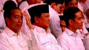 Hubungan Prabowo dan Jokowi akan Tetap Harmonis Selama Gibran Menjadi Wapres