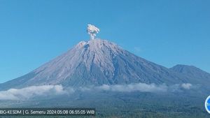 塞梅鲁火山在高峰600米处爆发